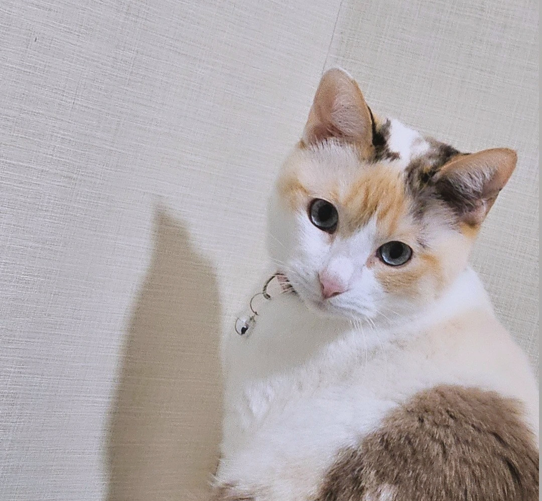 なぎちゃんの2025/1/24 (金) 23:19のブログ