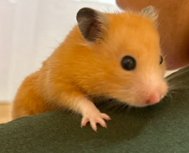 ゆゆちゃんの2024/12/29 (日) 07:18のブログ