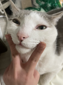 姫青(きはるちゃんの2/18 (火) 20:02のブログ