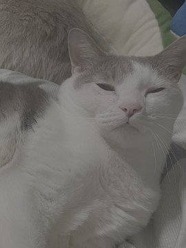 姫青(きはるちゃんの1/21 (火) 18:34のブログ