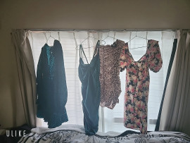 のんちゃんの2024/12/28 (土) 08:48のブログ