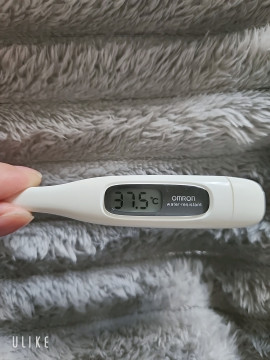 のんちゃんの1/10 (金) 07:07のブログ