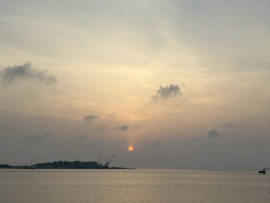 なぎさちゃんの2025/4/24 (木) 02:12のブログ