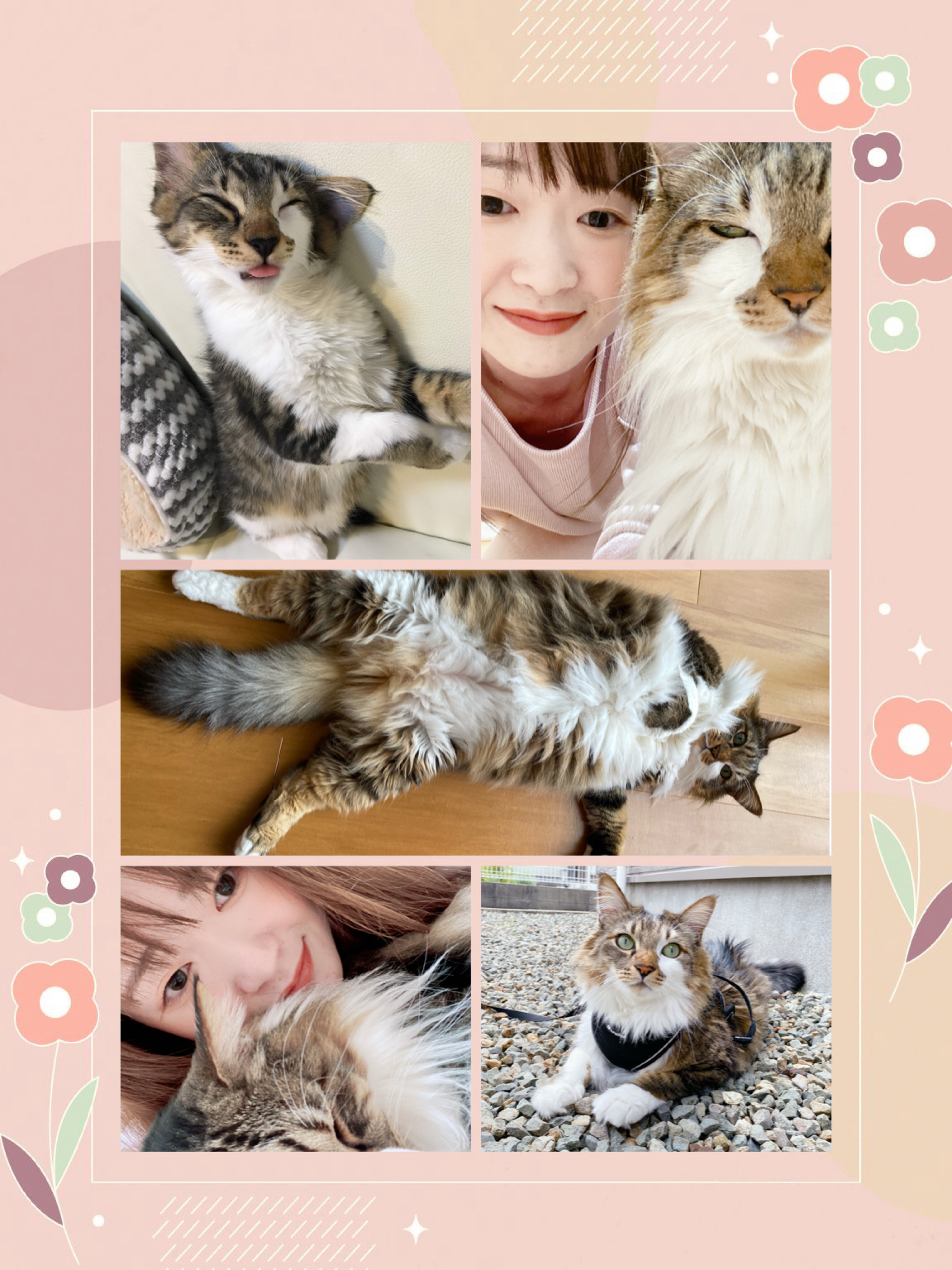 うちの子との2ショット