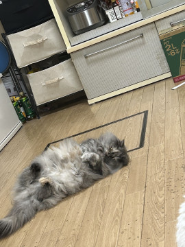 まみちゃんの1/28 (火) 02:47のブログ