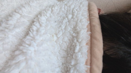 あんちゃんの1/11 (土) 18:51のブログ