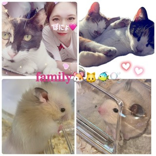 紹介しちゃおっかな…