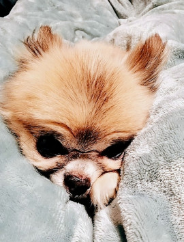 アイちゃんの今日 05:02のブログ