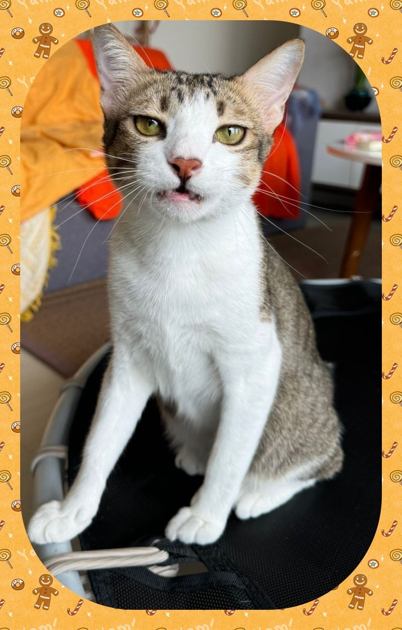 ただいまです。