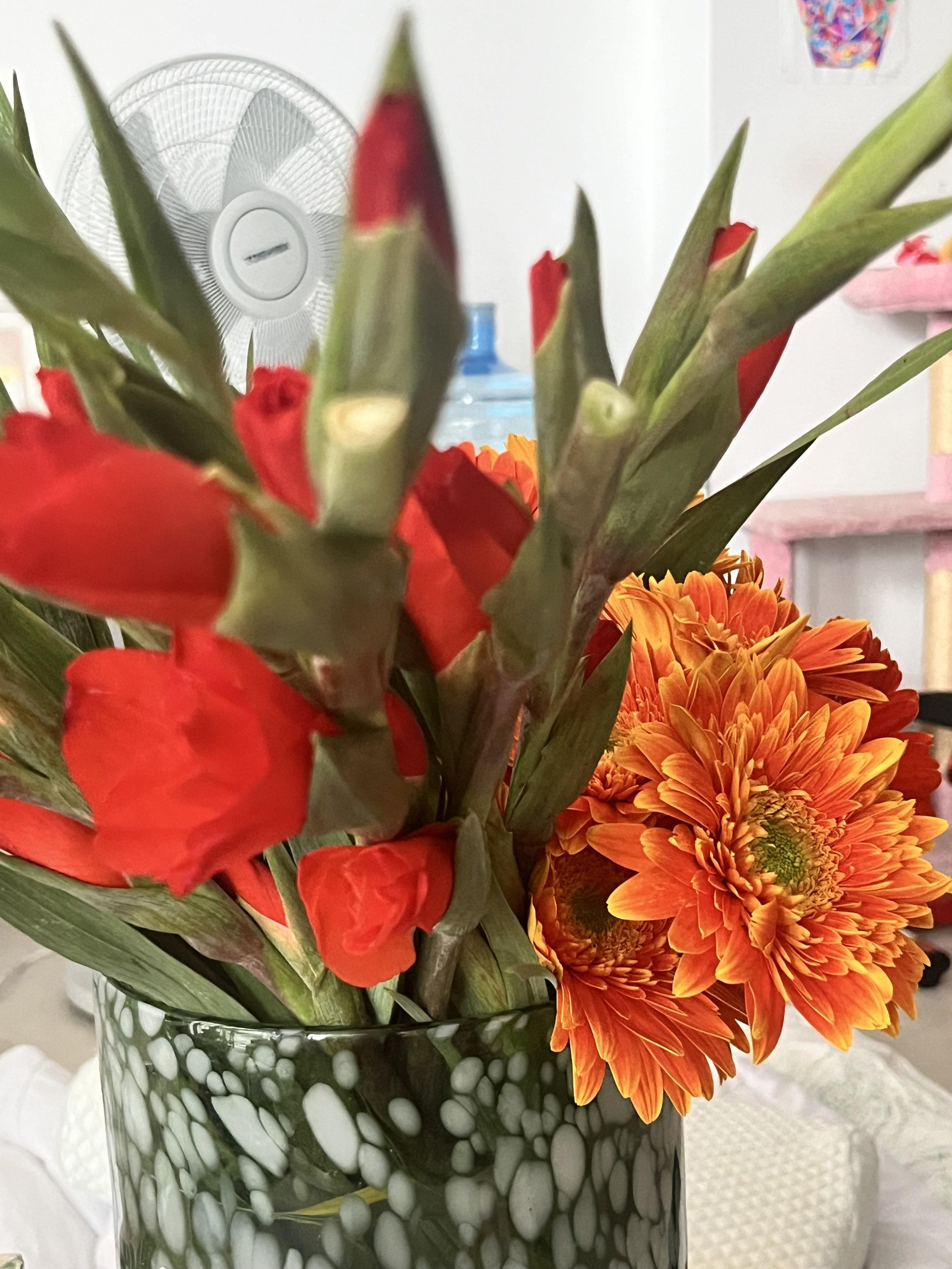 初めてのブログです?