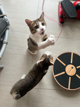 幸恵(さちえちゃんの12/3 (水) 02:26のブログ