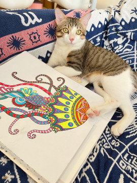 幸恵(さちえちゃんの3/5 (水) 18:11のブログ