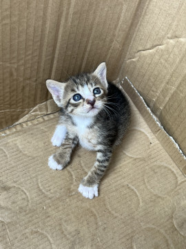 幸恵(さちえちゃんの3/3 (月) 22:44のブログ