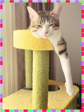 幸恵(さちえちゃんの3/1 (土) 17:11のブログ