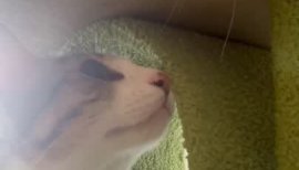 幸恵(さちえちゃんの5/25 (日) 19:09のブログ