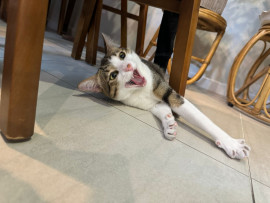 幸恵(さちえちゃんの12/7 (日) 13:14のブログ