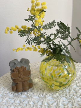 ミモザが咲いたよん