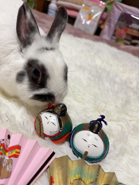 あらんちゃんの2025/3/4 (火) 00:27のブログ