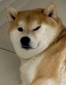 まいまいちゃんの3/11 (火) 18:27のブログ