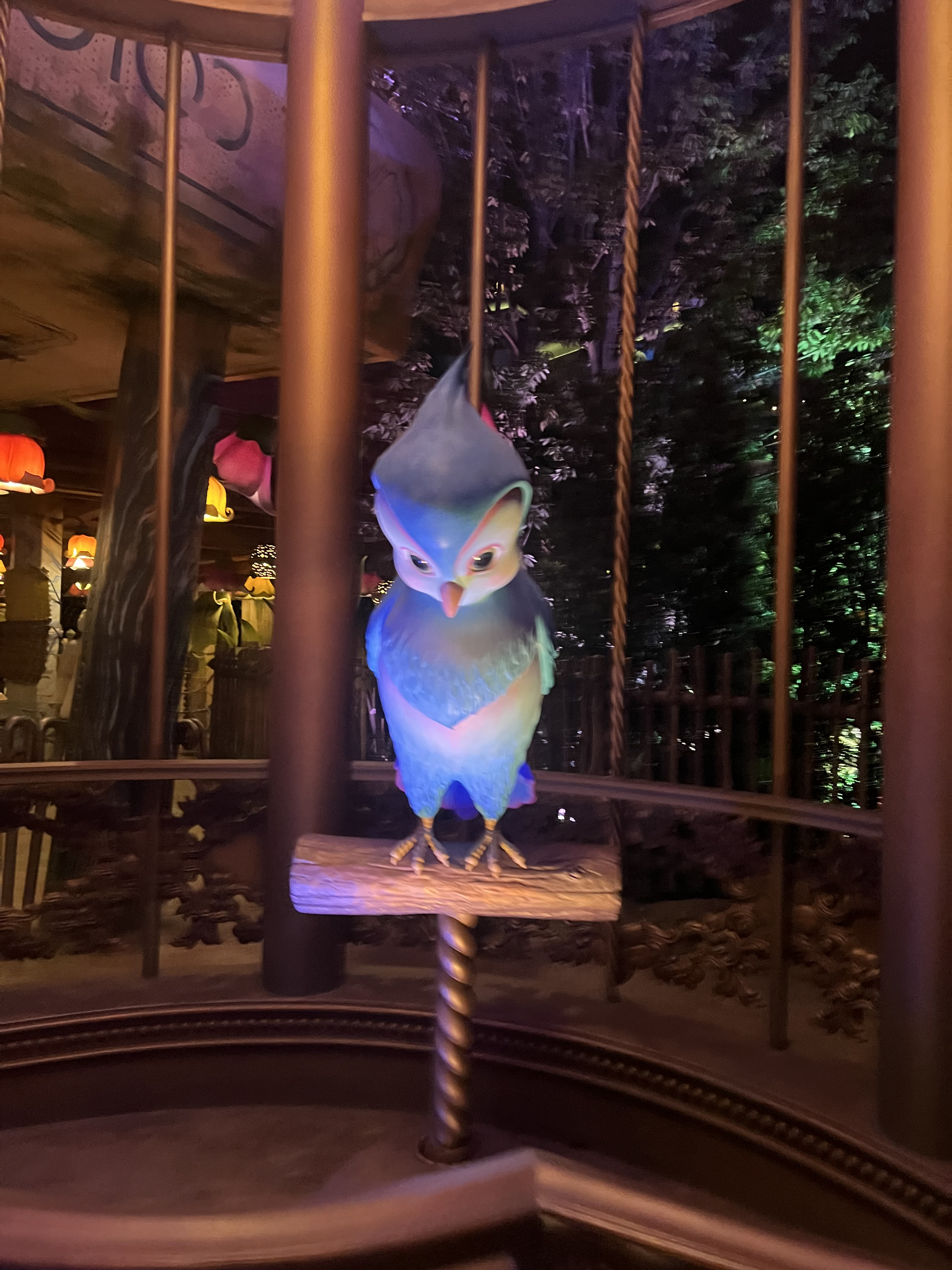 今日も楽しかった〜??