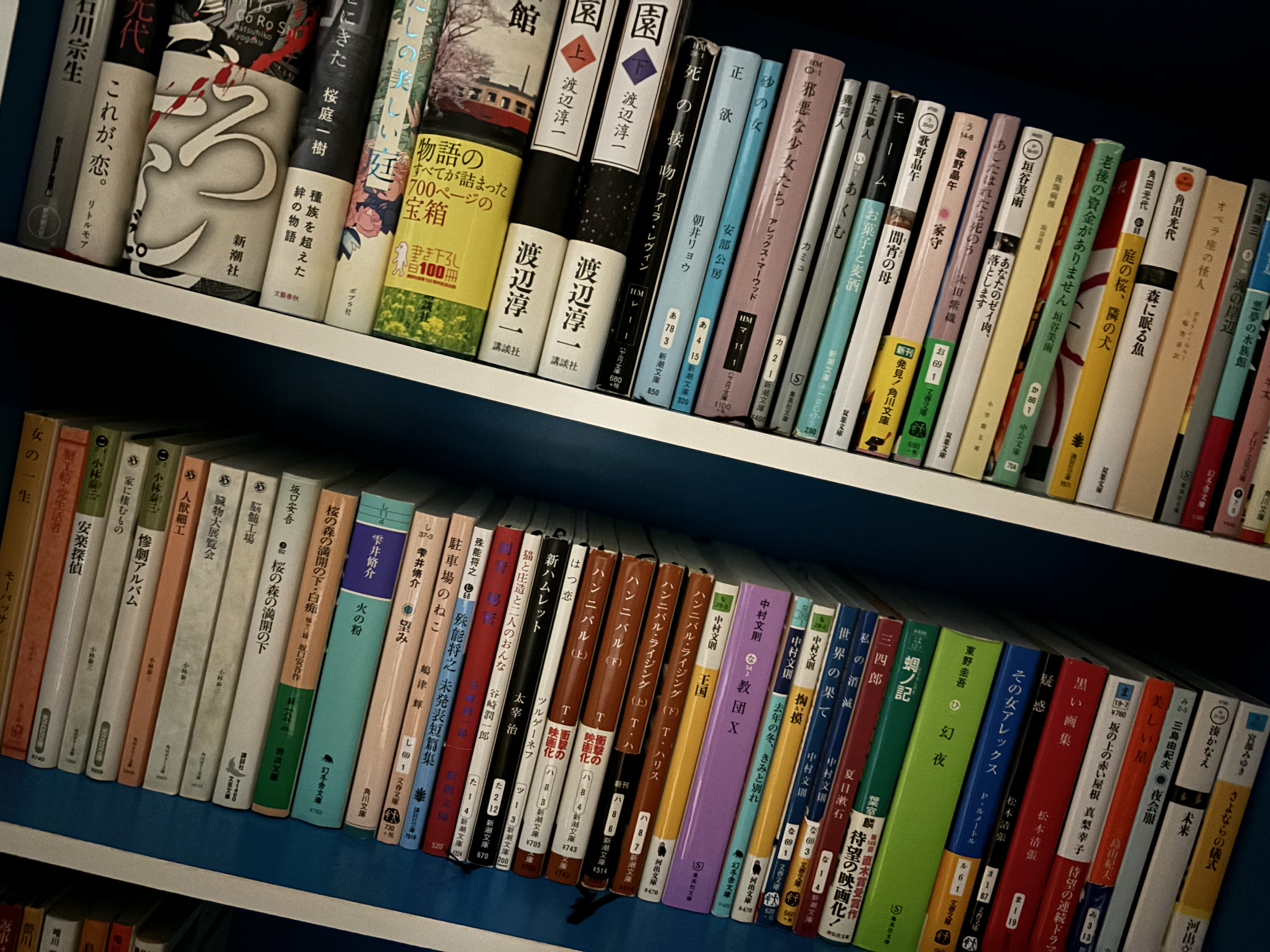 図書館に住みたい