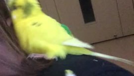 皐月★ちゃんの2016/11/8 (火) 16:40のブログ