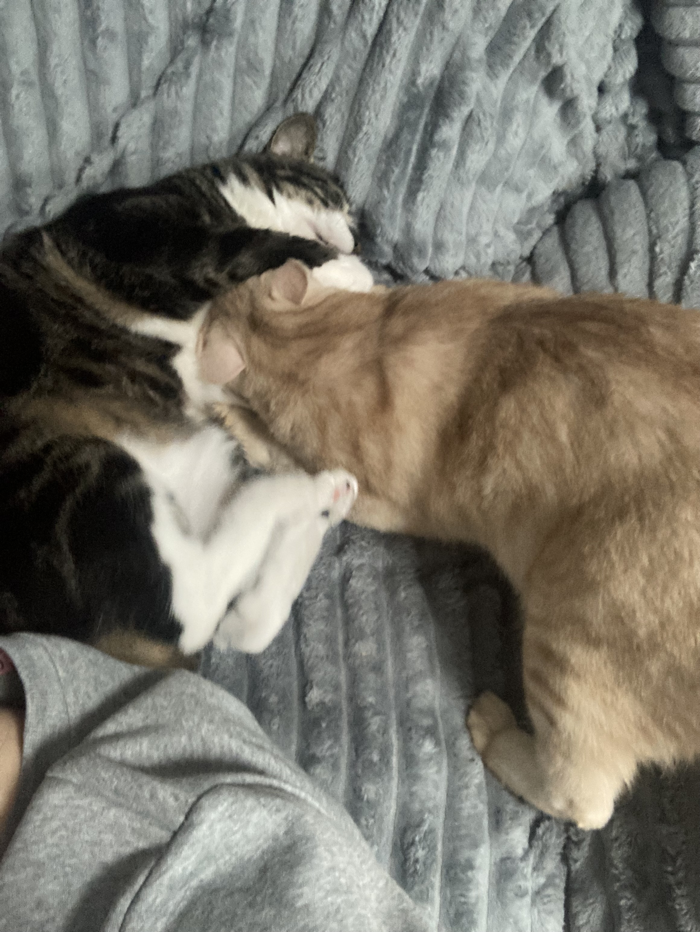 4月から頑張る！