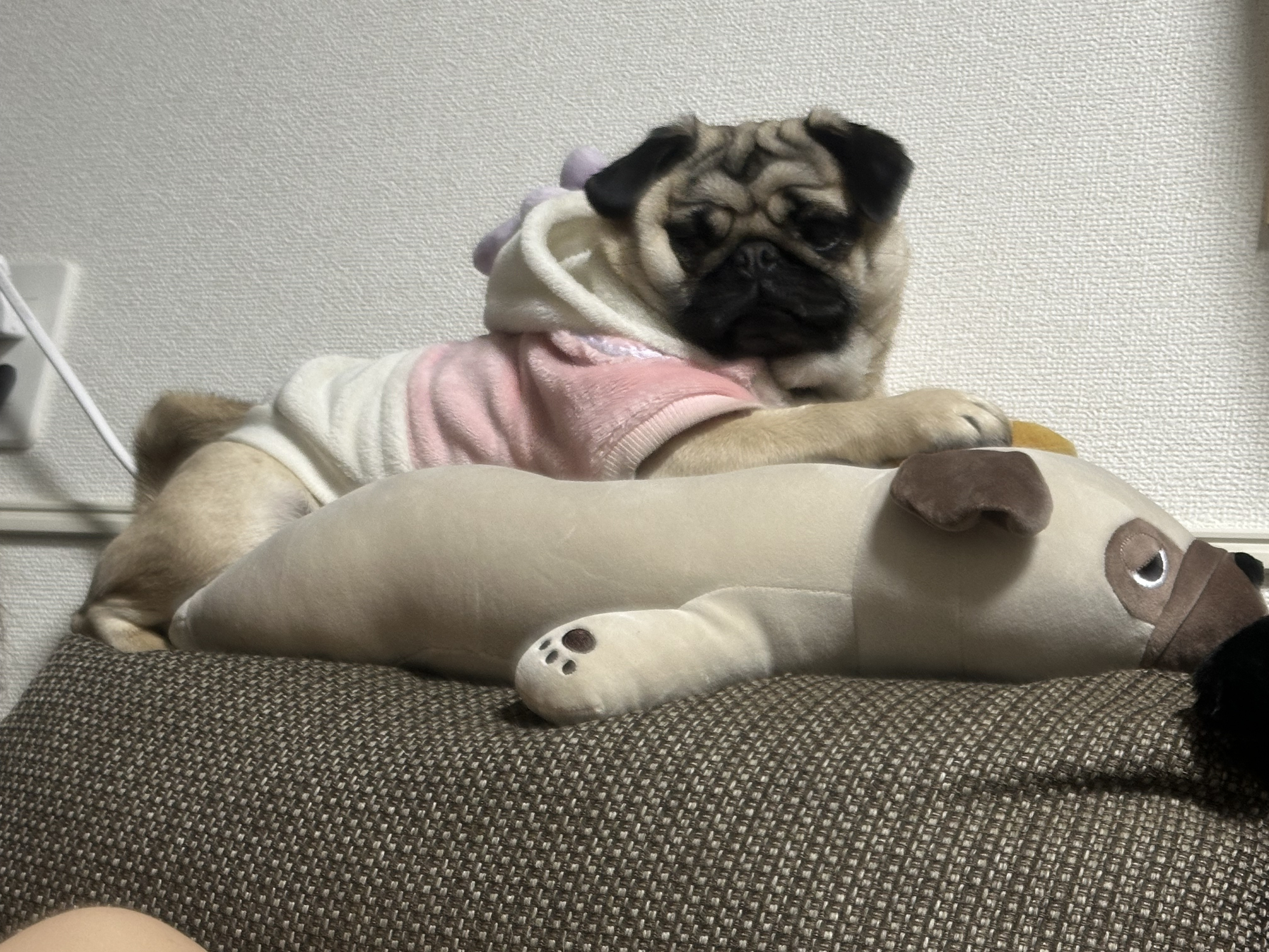 久しぶりに開きました！