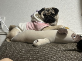 ういちゃんの昨日 14:40のブログ