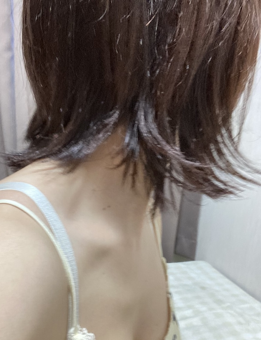 初めてのブログです