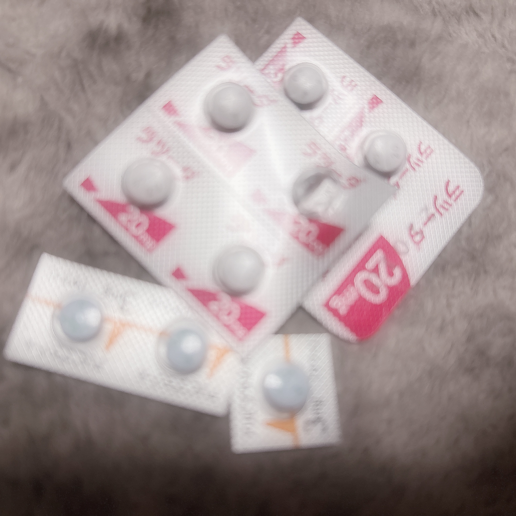 しばらくおやすみ。
