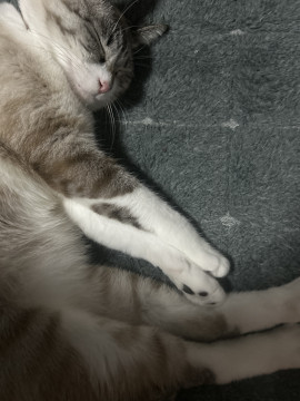 みいちゃんの2025/3/22 (土) 19:27のブログ