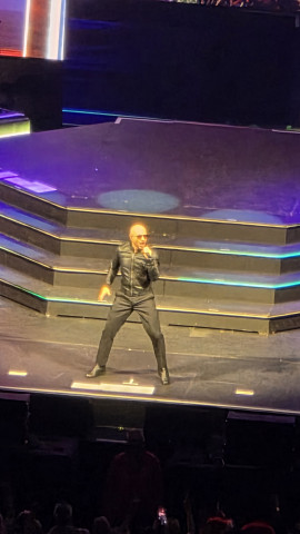 ピットブルinロンドン