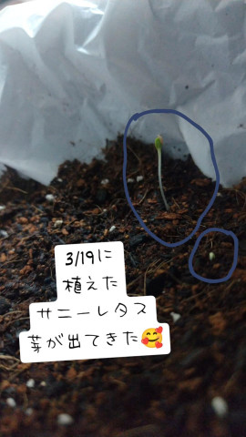 鬼姫ちゃんの3/24 (月) 11:19のブログ