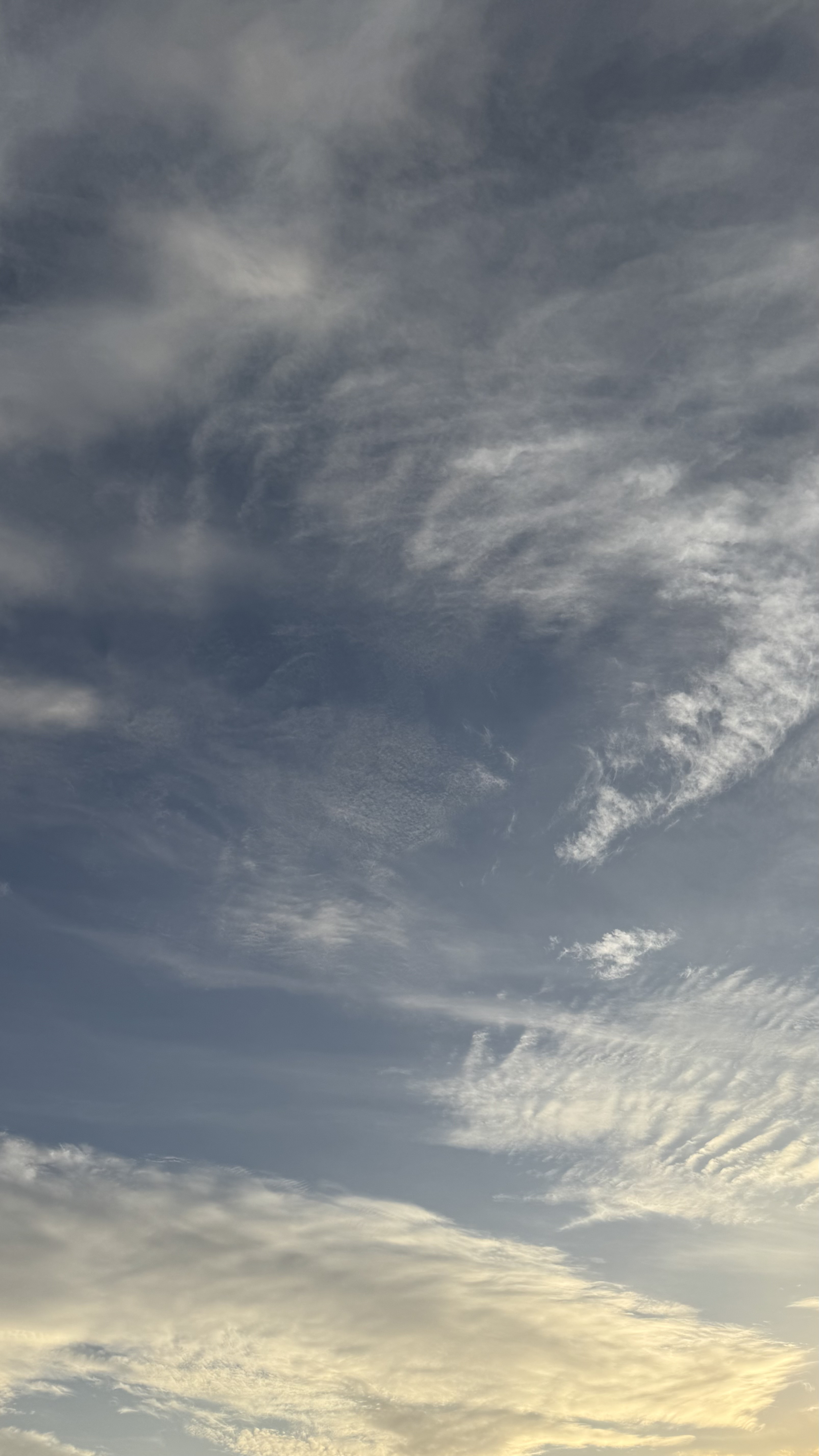 おひさしぶりです??