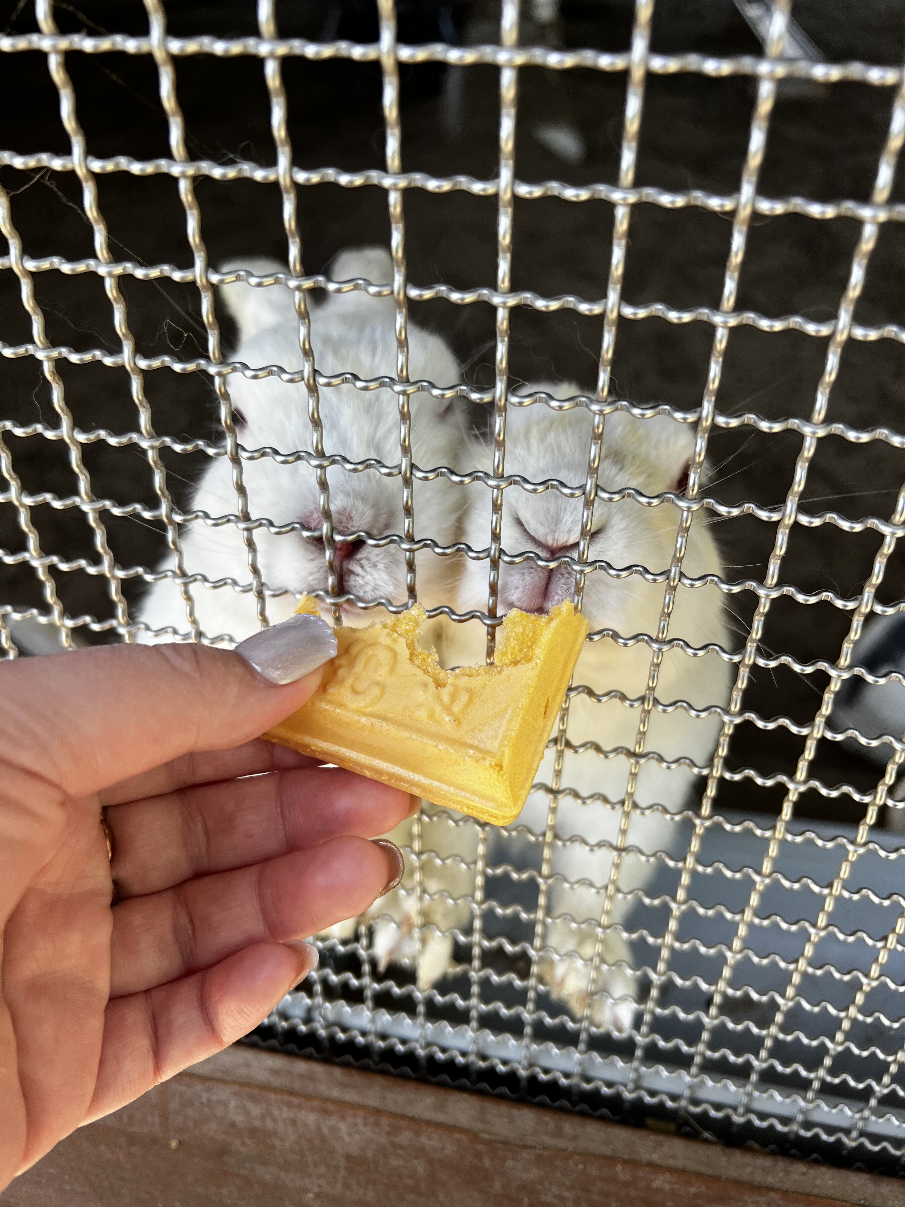 お久しぶりです?