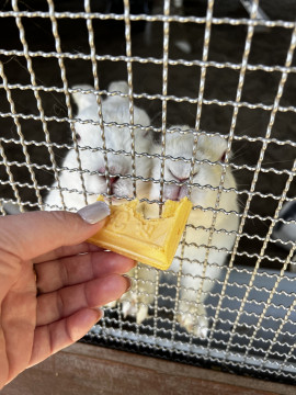 るるちゃんの2025/5/9 (金) 15:40のブログ