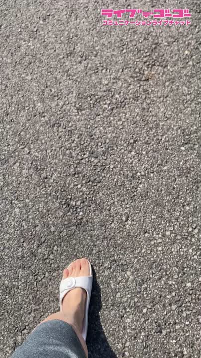 散歩?(?˙?˙?)??.*゜