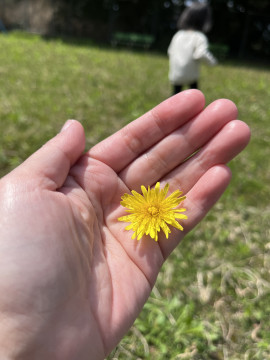 みかん🍊ちゃんの2025/5/1 (木) 23:10のブログ