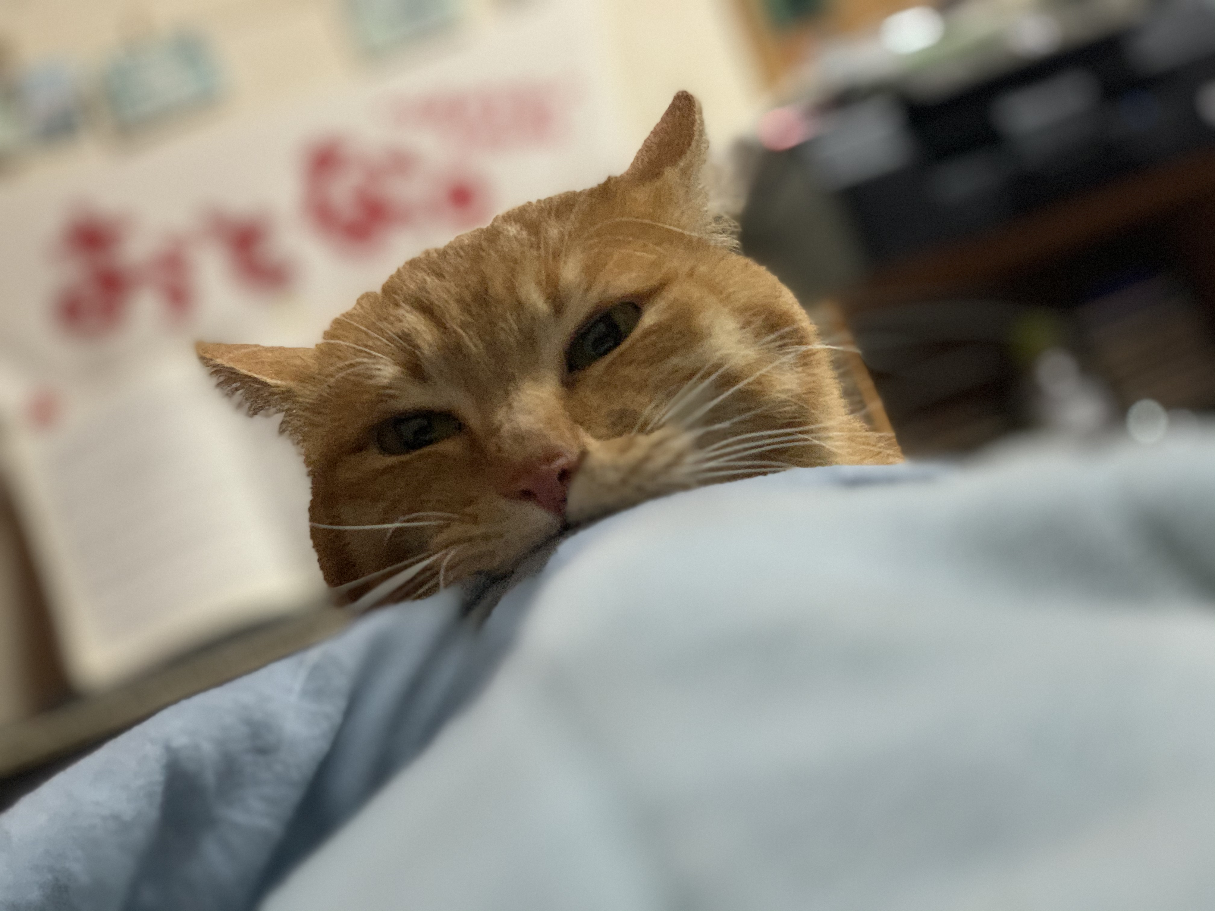 お疲れ様です！