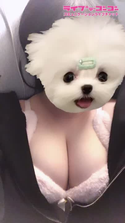 にゃん???