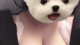 ぽんちゃんの2025/4/21 (月) 21:19のブログ