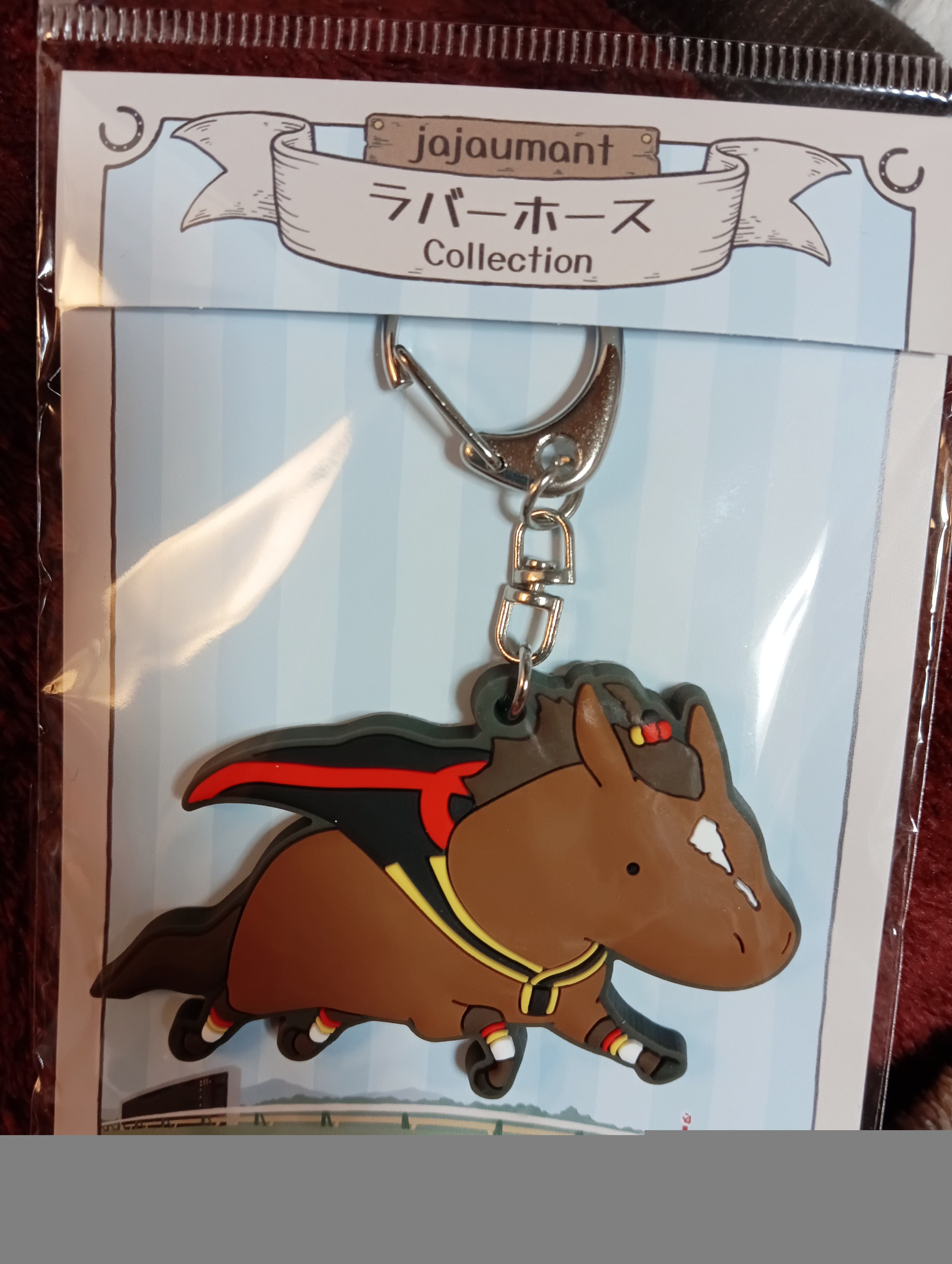 息子の修学旅行が終わりました