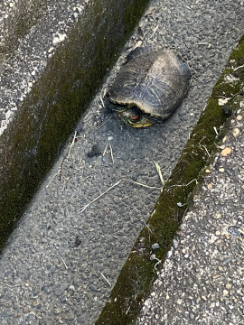 もこなちゃんの4/22 (火) 17:53のブログ