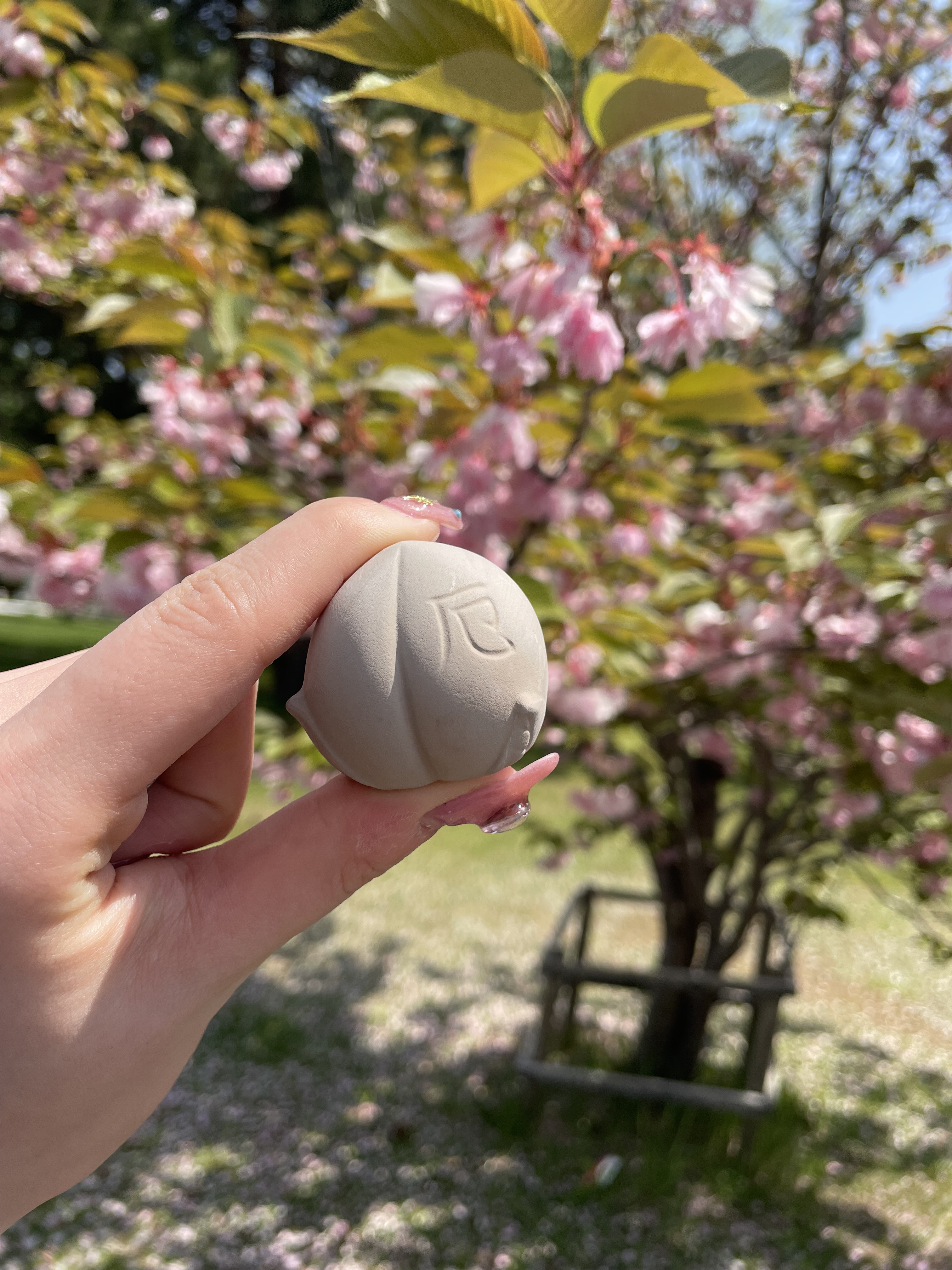 お参りしてきたよ