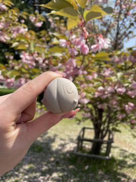 なつめちゃんの2025/4/23 (水) 10:07のブログ