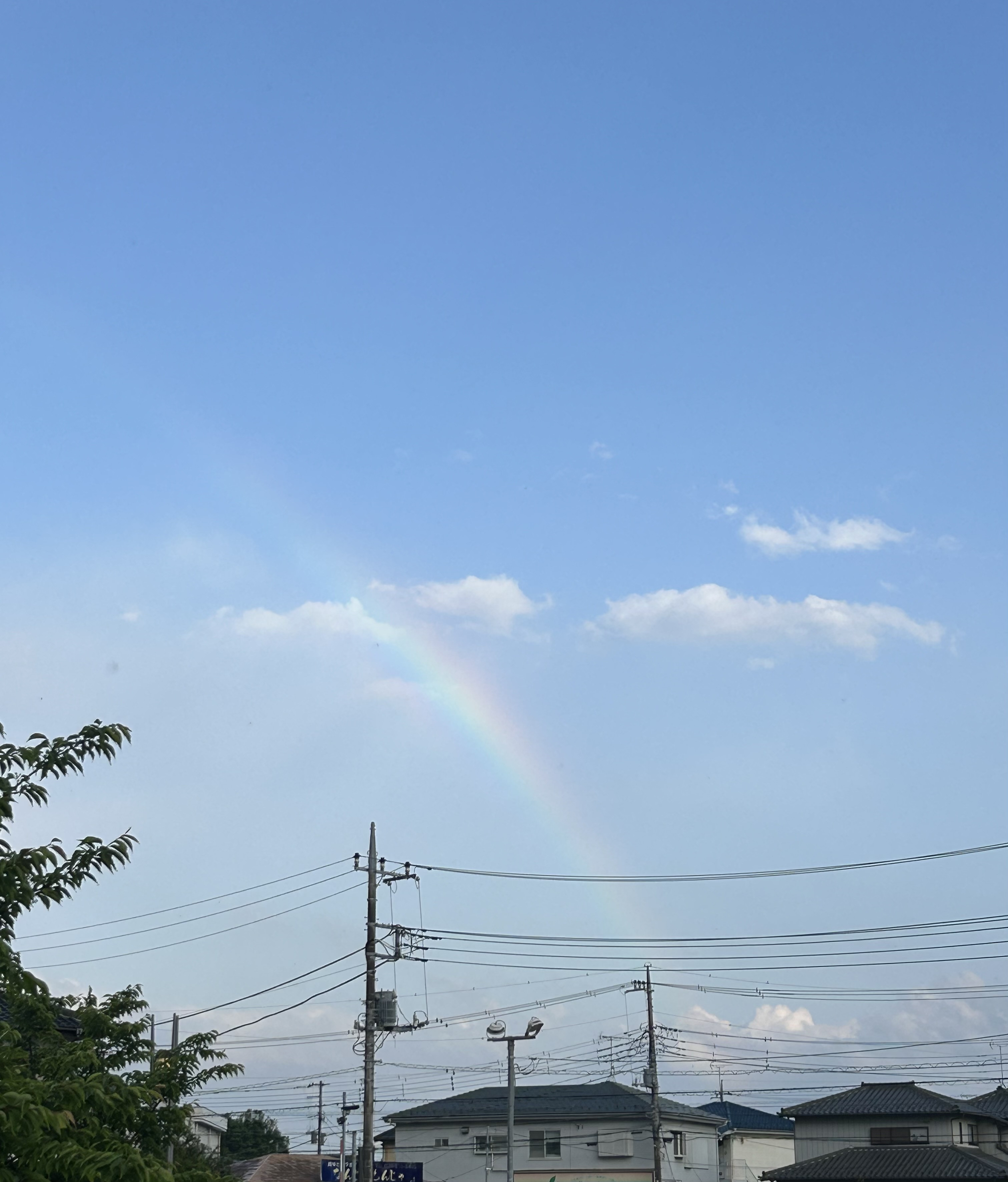 虹を見ました！?