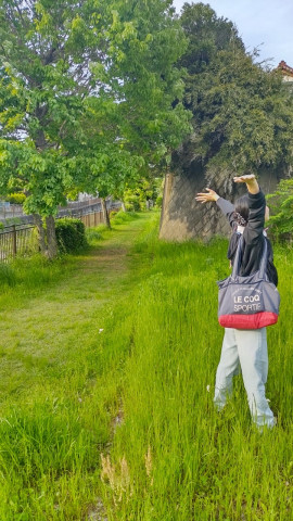 今日は生憎の雨?