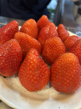 すけちゃんの2025/4/30 (水) 16:17のブログ