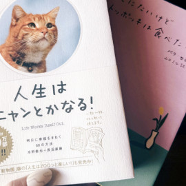 ブログはじめてみました?